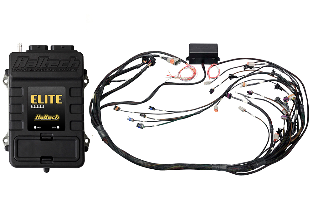 Centralina haltech Elite 2000 + GM GEN IV LSx (LS2/LS3 etc) non DBW Terminated Harness Kit